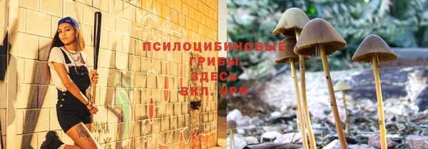 ПСИЛОЦИБИНОВЫЕ ГРИБЫ Алексин