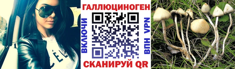 MEGA рабочий сайт  Далматово  Галлюциногенные грибы Magic Shrooms 
